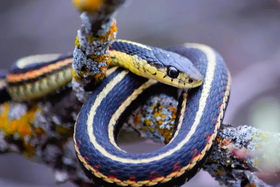 They Survive Winter by Cramming Into Massive Snake Dorms (Image Credits: Pexels)