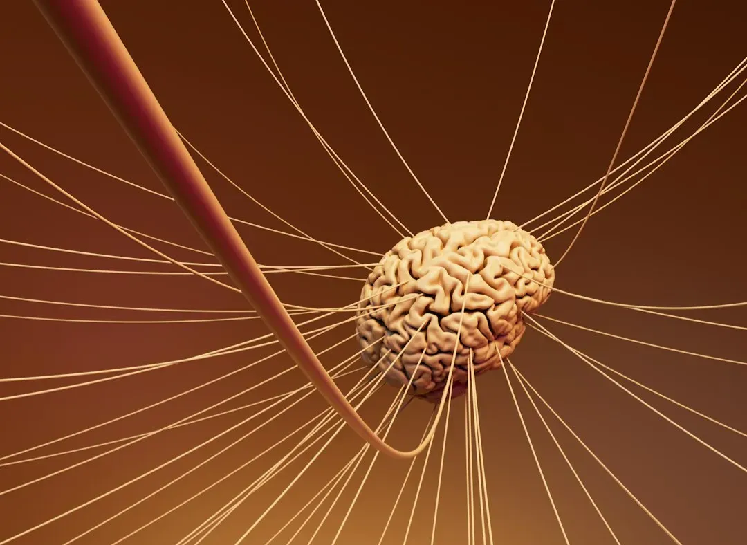 How Learning and Habits Sculpt Your Brain (Image Credits: Unsplash)