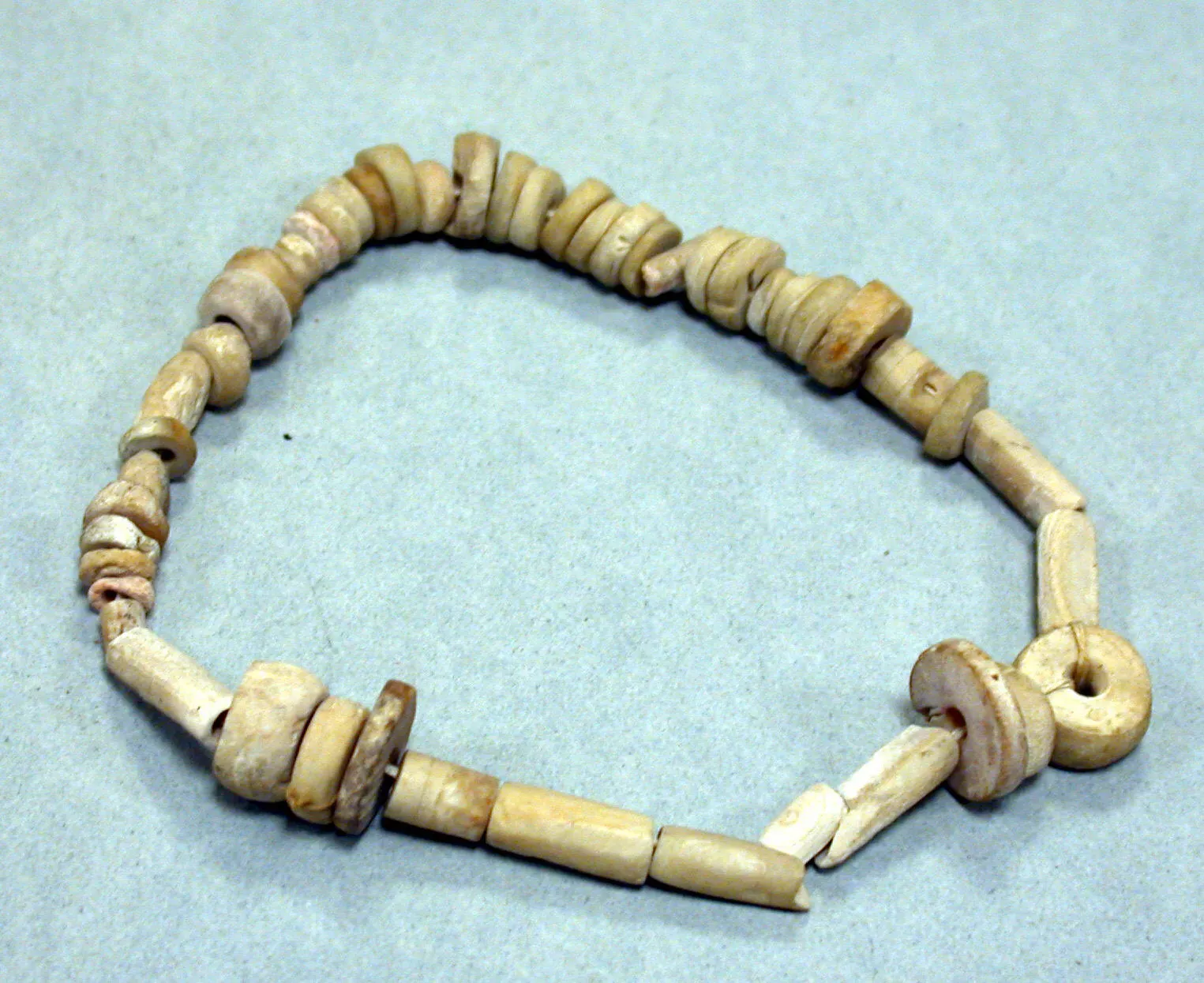 #8 - Shell Highways Connecting Coasts And Deep Interiors (This file was donated to Wikimedia Commons as part of a project by the Metropolitan Museum of Art. See the Image and Data Resources Open Access Policy, CC0)