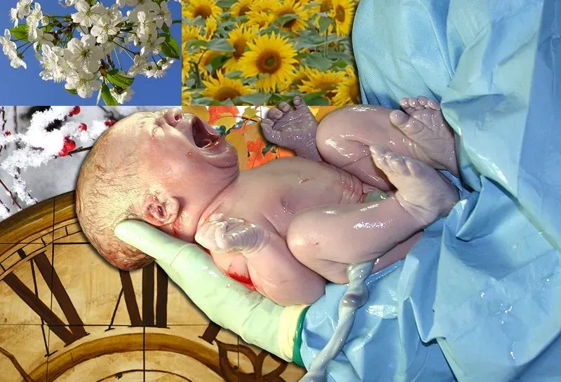 When You're Born Might Shape Who You Become (Image Credits: Wikimedia)