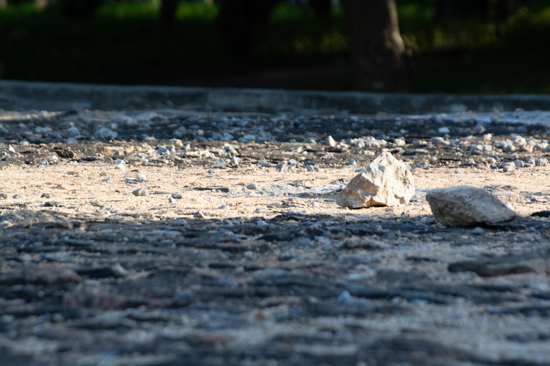 Scientific Skepticism Still Exists Among Researchers (Image Credits: Unsplash)