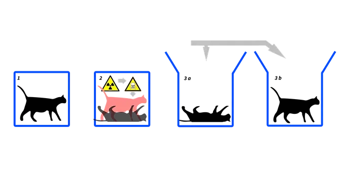 Schrödinger's Cat Exposed the Measurement Paradox (Image Credits: Wikimedia)