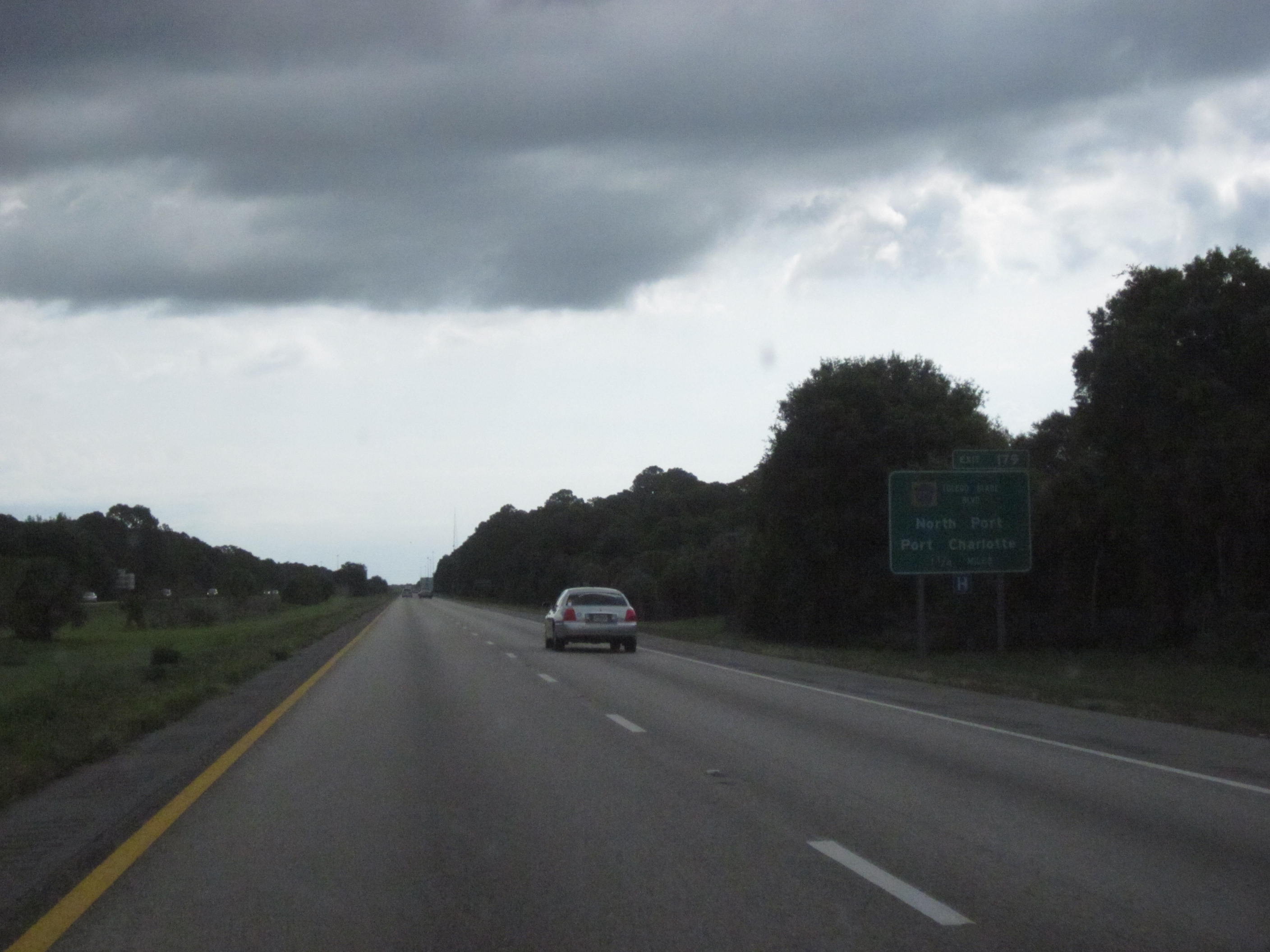 Interstate 75 Florida - Panther Preservation Through Engineering (Image Credits: Wikimedia)