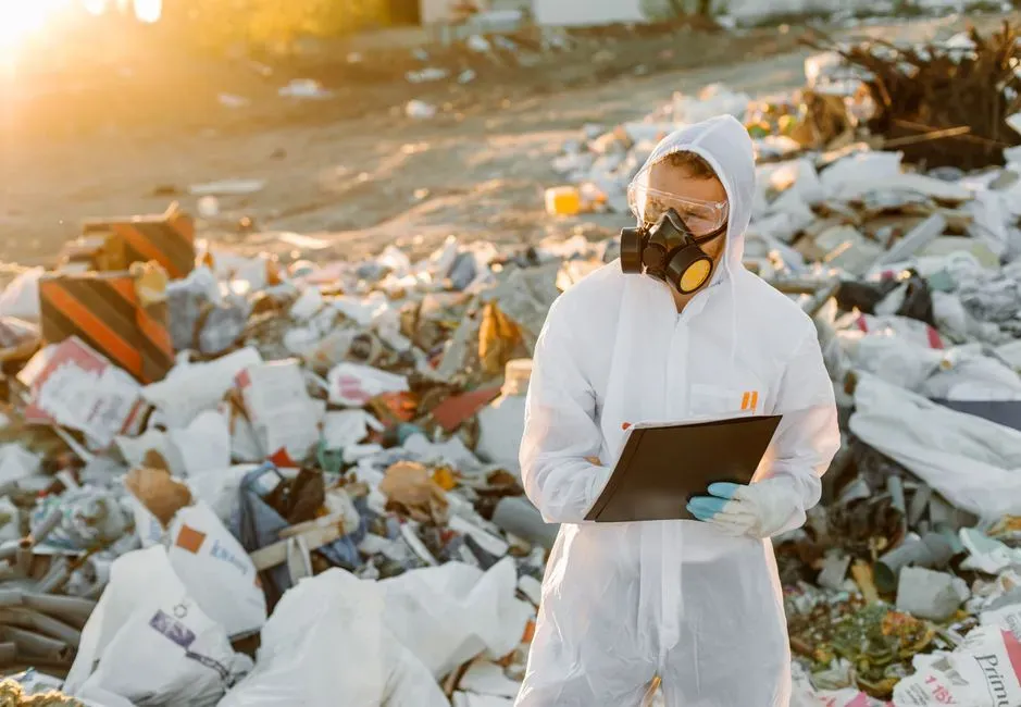 #14 - The Environmental Impact Study That Softened The Damage (Image Credits: Pexels)