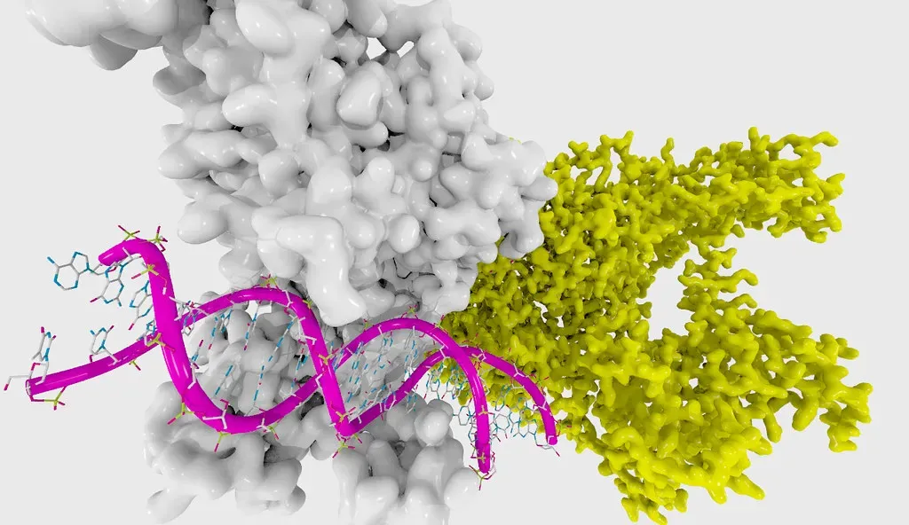 6. Epigenetic Editing and the Science of Reversible Gene Control (Enzymlogic, Flickr, CC BY-SA 2.0)
