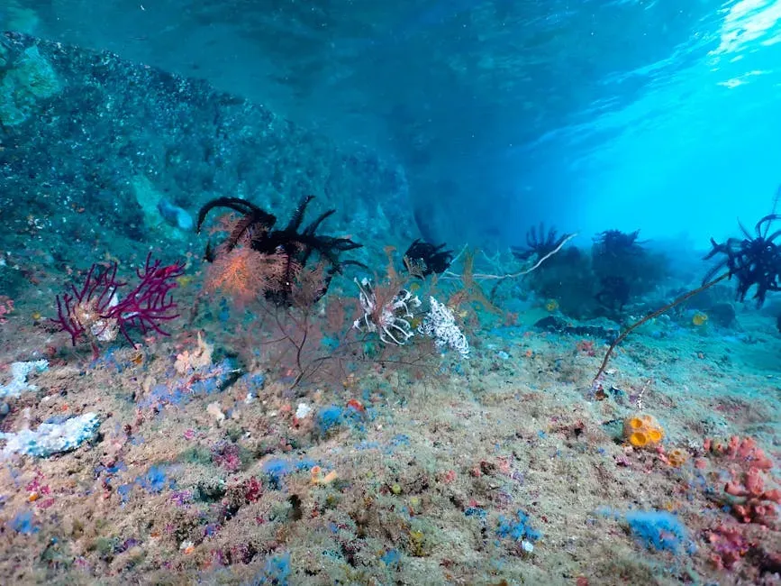 4. Cold Seeps Are Slow-Motion Oases on the Seafloor (Image Credits: Pexels)