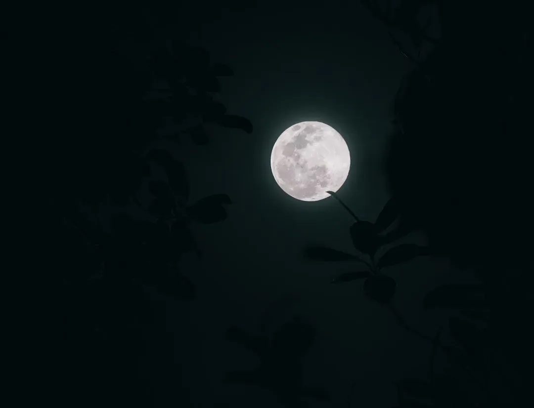 Sleep, Moonlight, and the Subtle Tug on Our Nights (Image Credits: Unsplash)