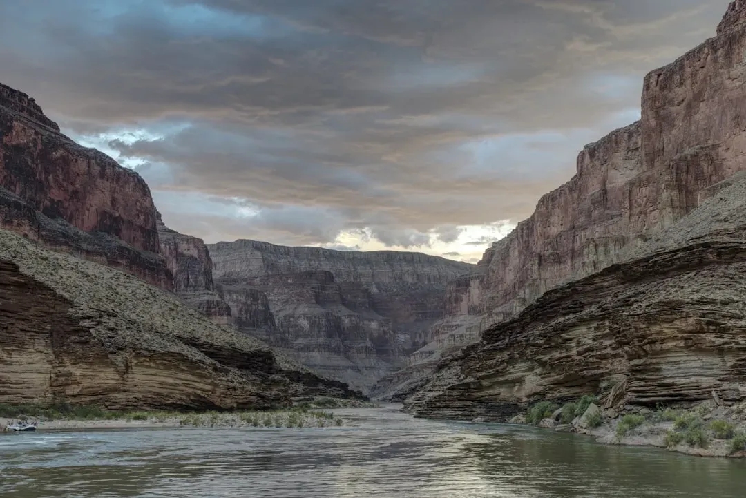 Conclusion: A Prehistoric Story Still Unfolding (Image Credits: Unsplash)