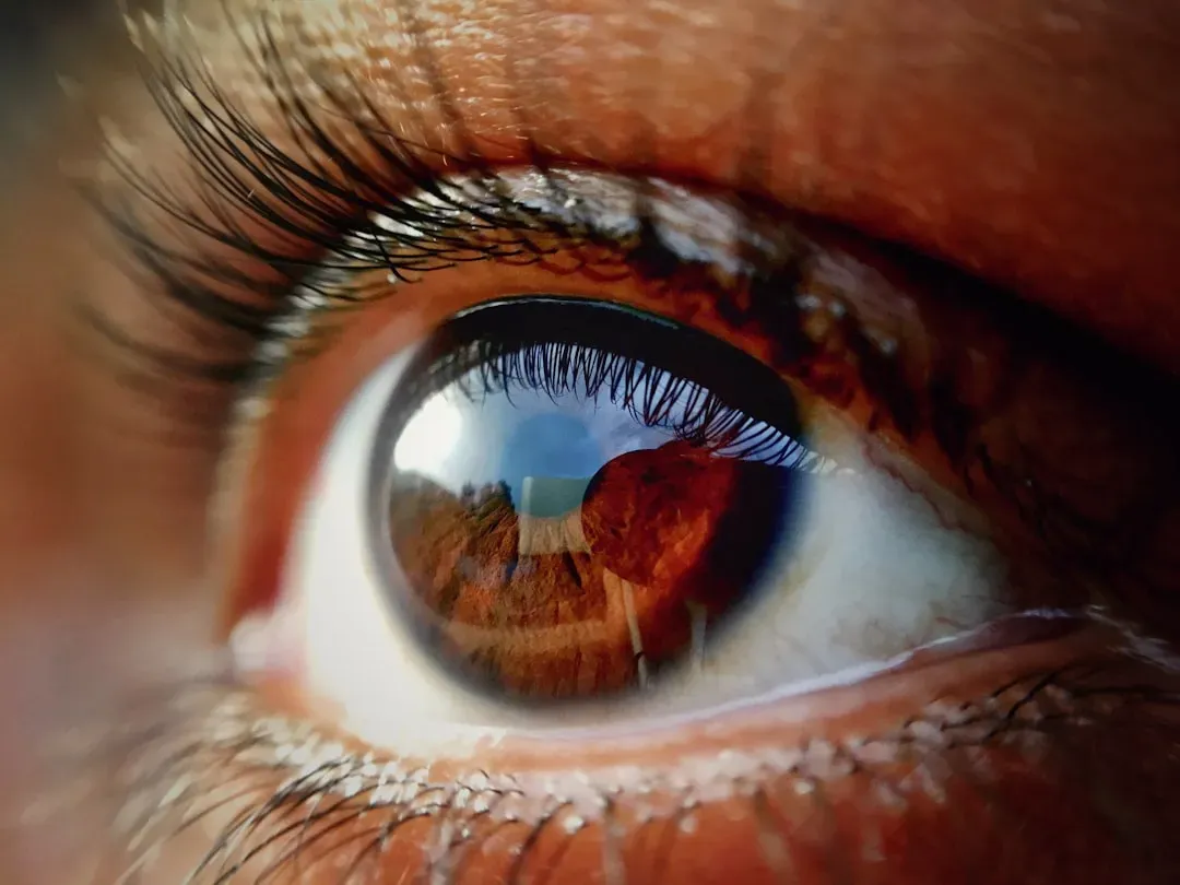 Peripheral Vision: Designed to Detect Threat, Not Details (Image Credits: Unsplash)
