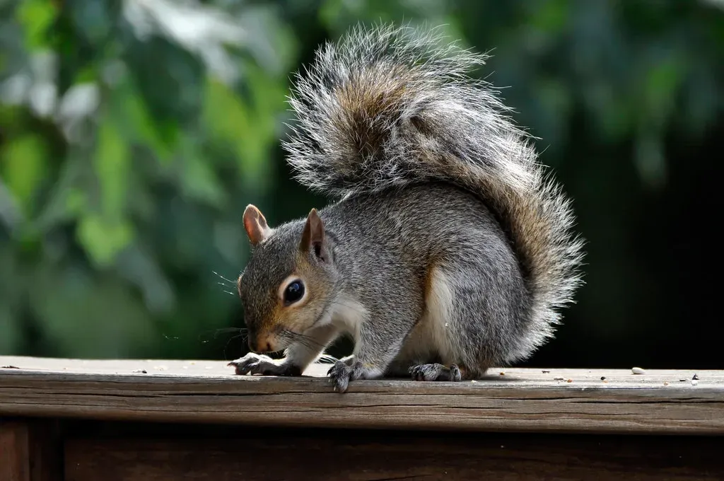 How Your Brain Turns Coincidence Into “Proof” (likeaduck, Flickr, CC BY 2.0)