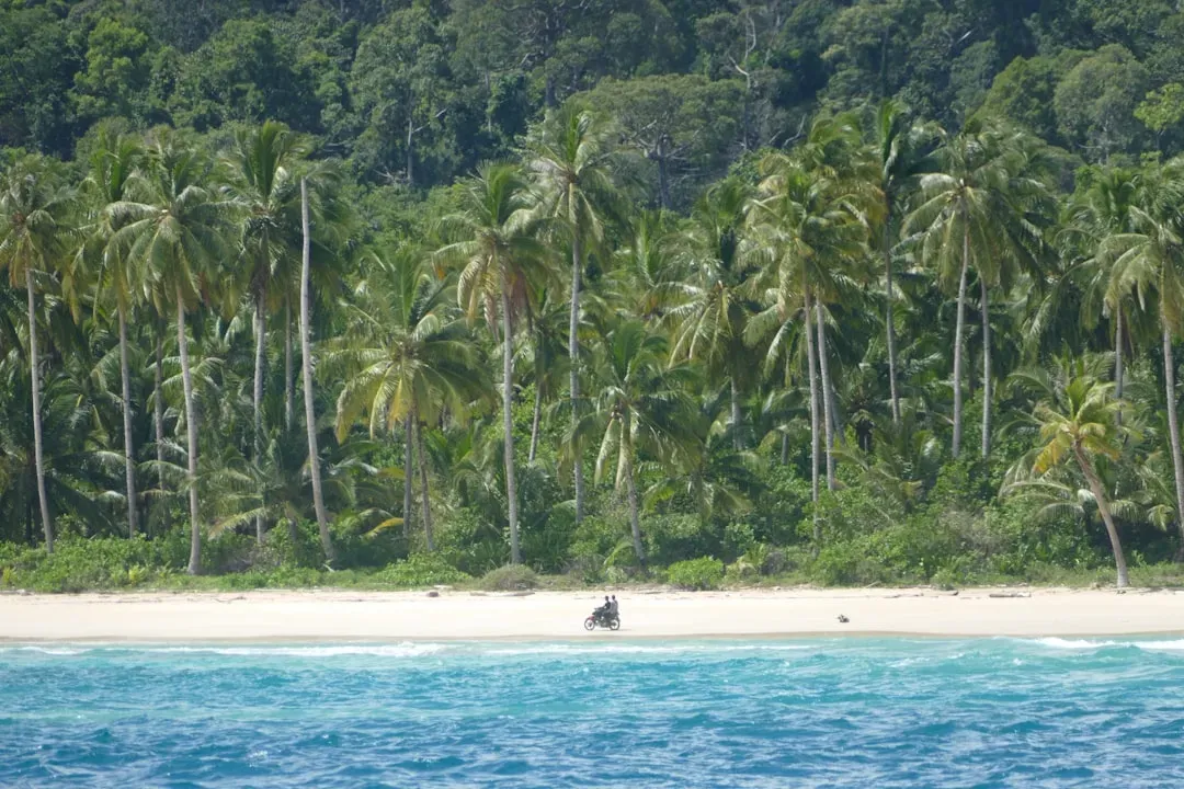 North Sentinel Island: A Living Time Capsule We May Never Understand (Image Credits: Unsplash)