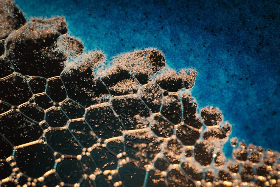 The Slow Accumulation of Cellular Damage (Image Credits: Pexels)
