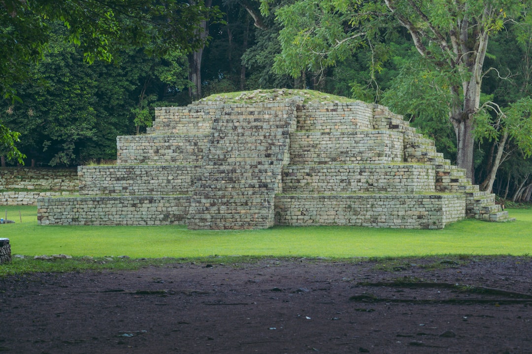 Evidence at Ground Level (Image Credits: Unsplash)