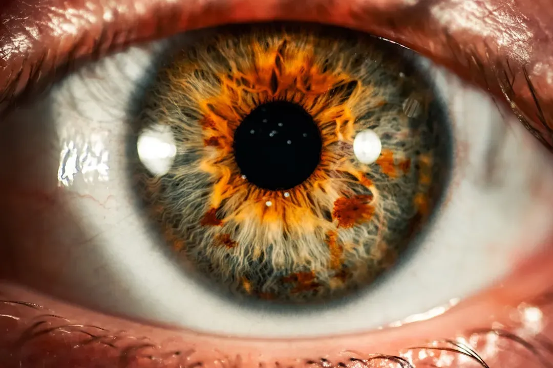 Being Watched: The Primal Terror of Invisible Eyes (Image Credits: Unsplash)