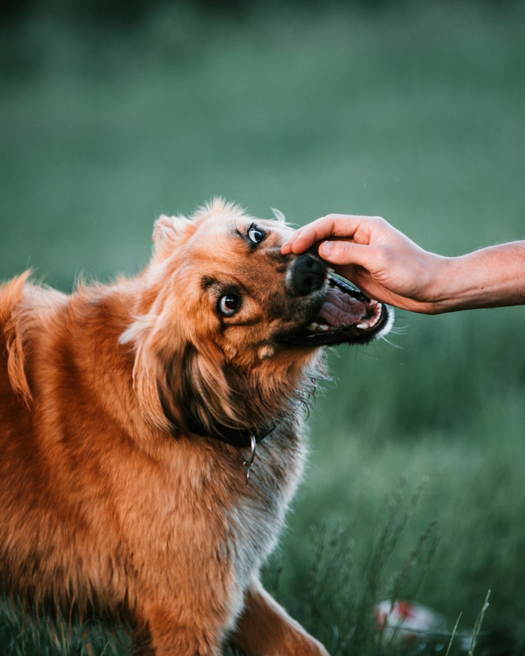 Why It Matters (Image Credits: Unsplash)
