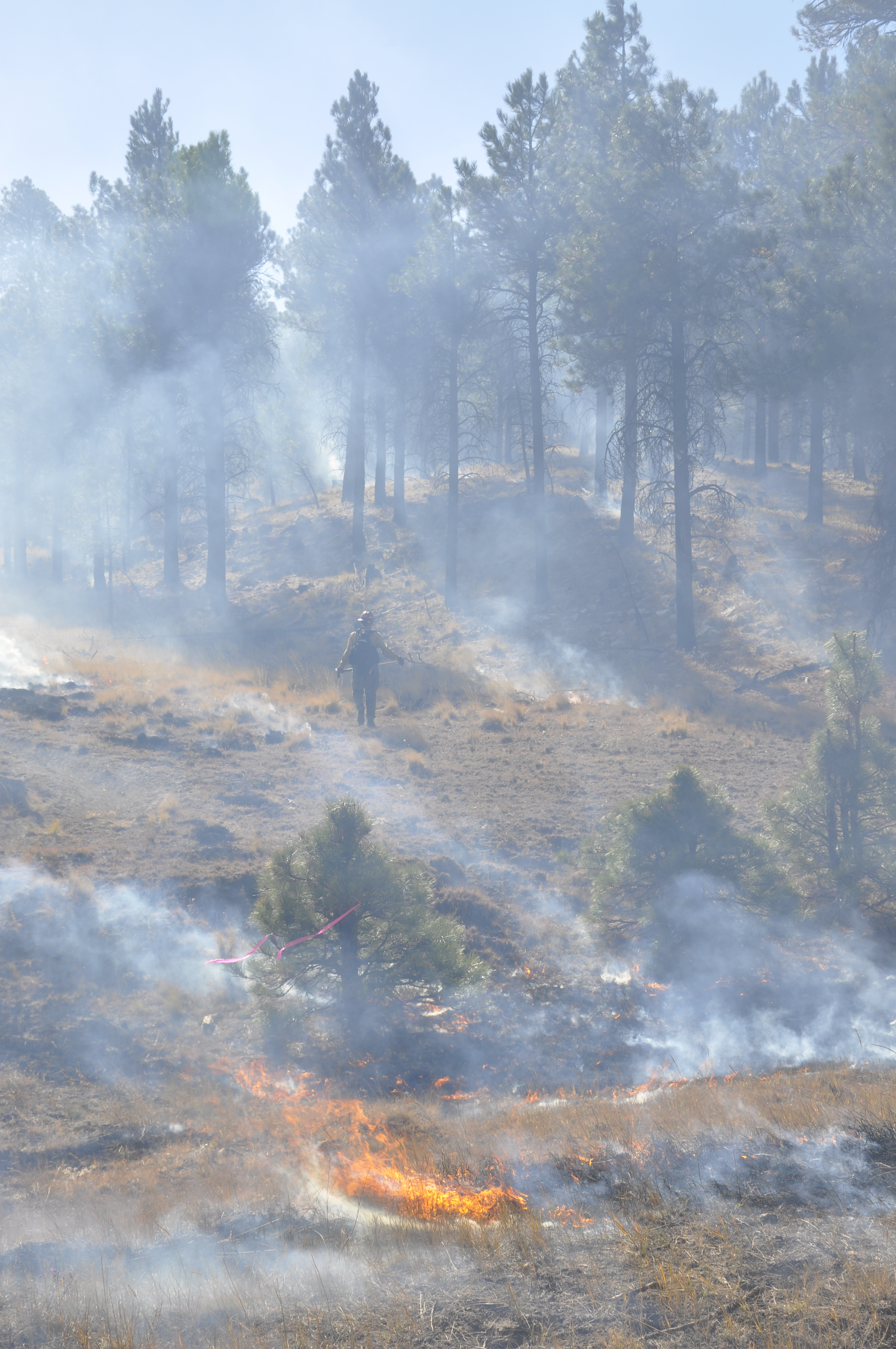 George Washington & Jefferson National Forests, Virginia: Lessons from the Appalachians (Image Credits: Wikimedia)