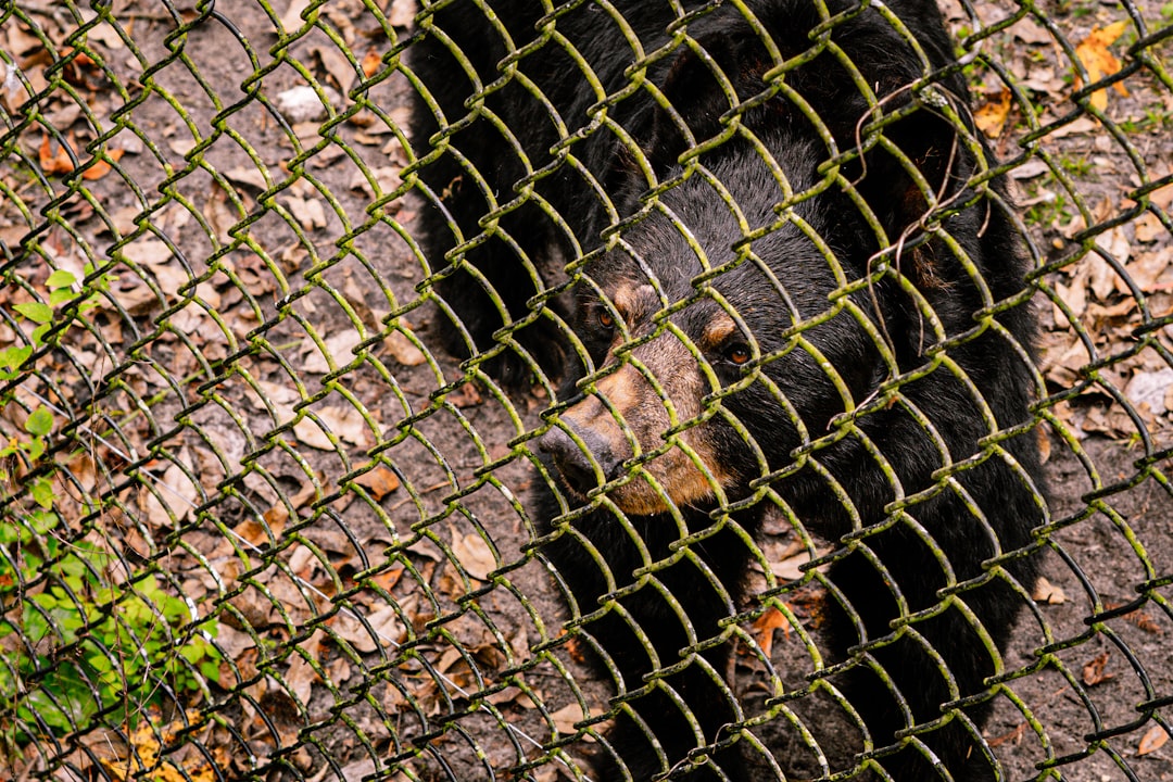 Simple Prevention Could Stop Most Conflicts (Image Credits: Unsplash)