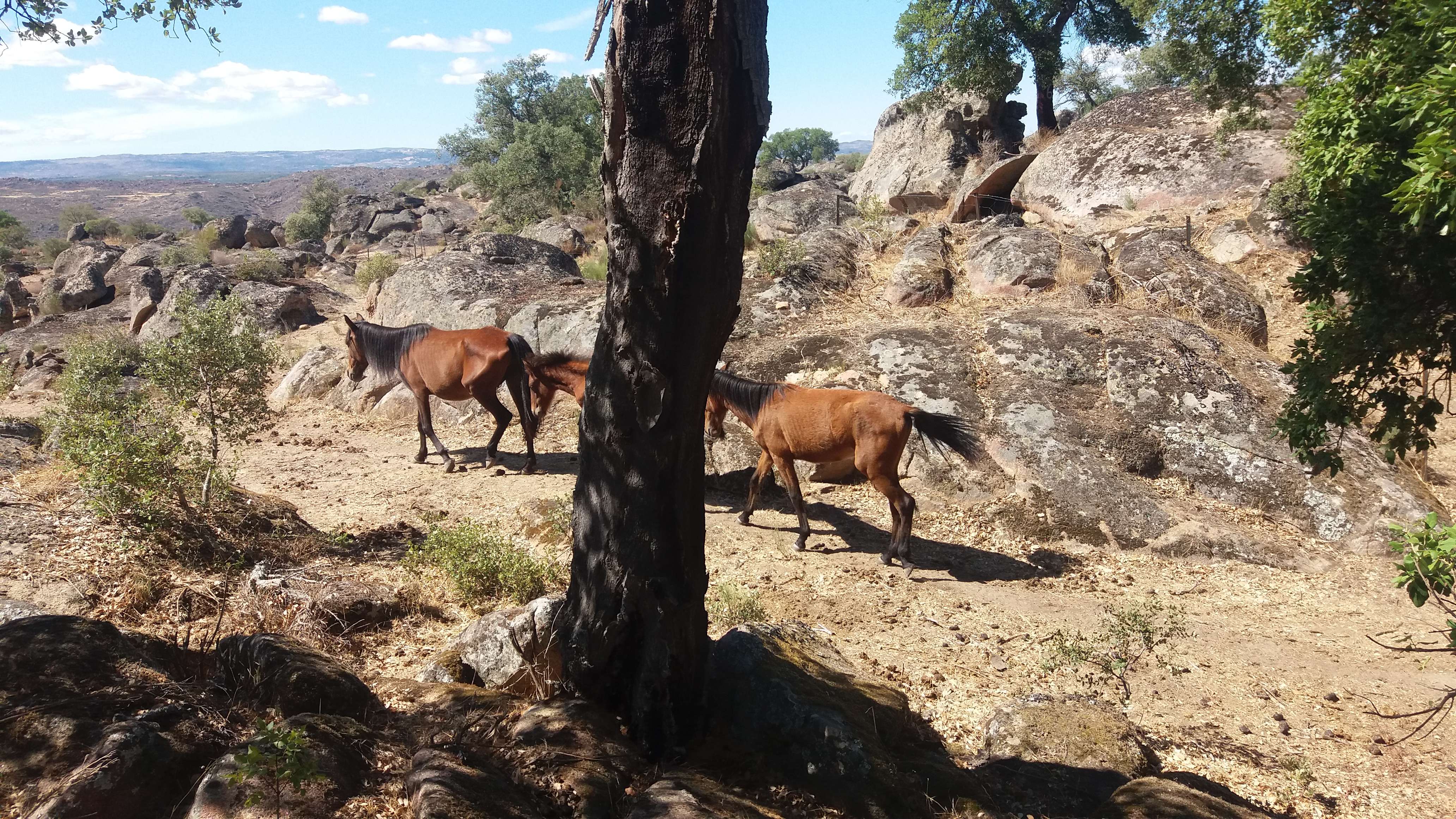 Global Perspectives (Image Credits: Wikimedia)