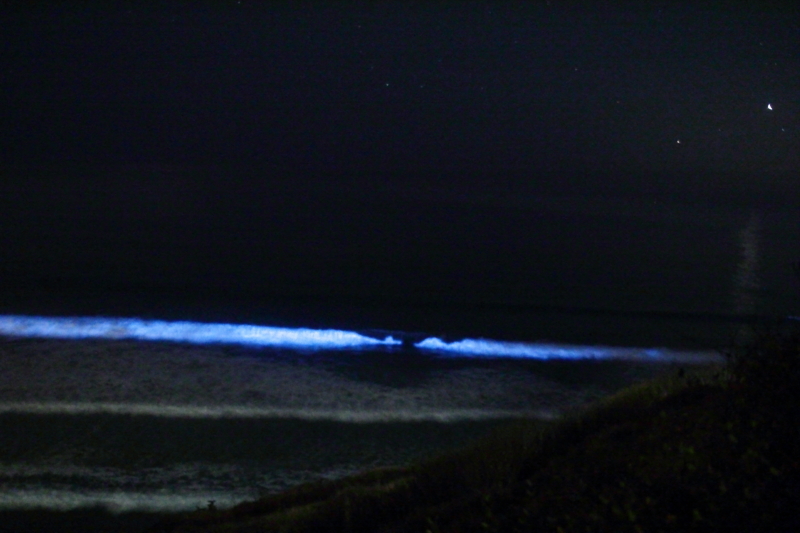 How to See It Right (Image Credits: Wikimedia)