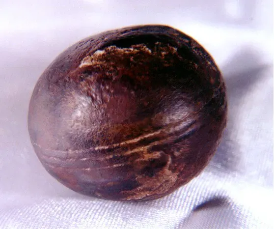 11. The Klerksdorp Spheres Weren't Machined 2.8 Billion Years Ago (By Robert Huggett, Public domain)