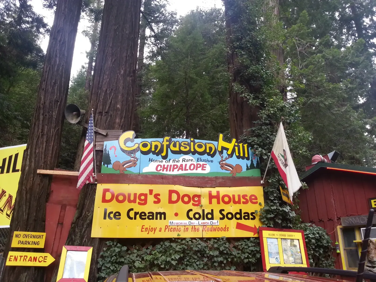 8. Confusion Hill, California, USA (By Ijon, CC BY-SA 4.0)