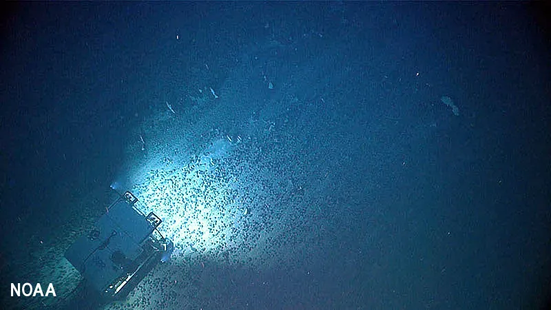 The Deep Seafloor Holds Clues To Earth’s History (By NOAA, Public domain)