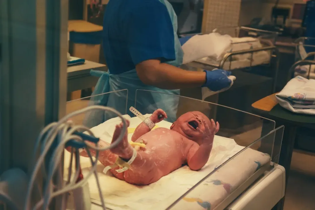 Reproduction on the Back Burner: Fewer Babies, Longer Lives (Image Credits: Unsplash)