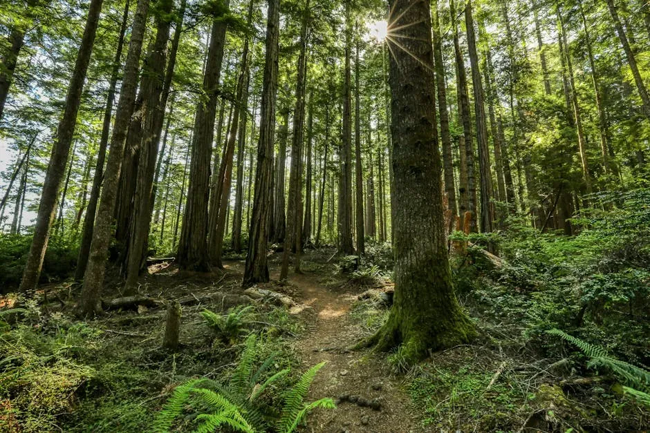 Engineered Forests: How Ancient Architects Designed Ecosystems (Image Credits: Pexels)