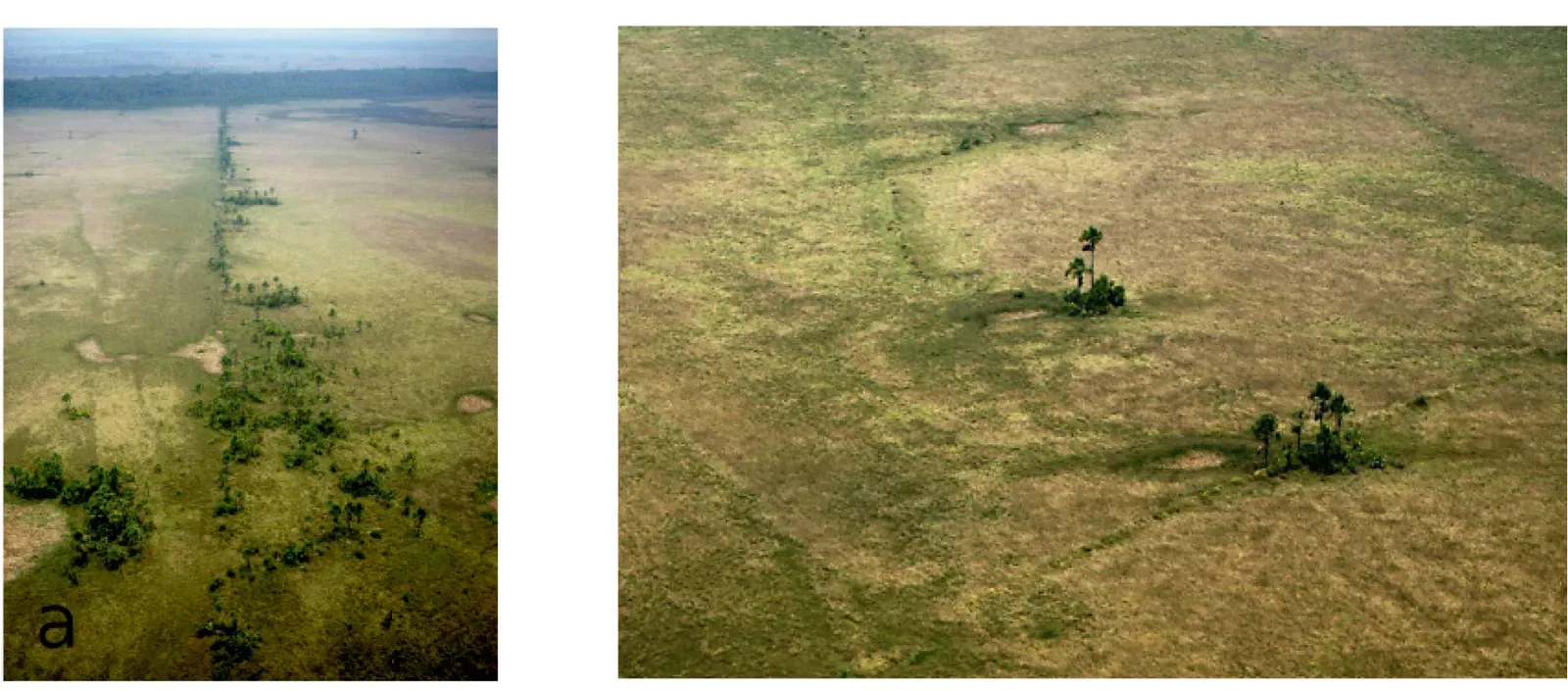 The Amazonian Geoglyph Cities, Brazil and Bolivia: Urbanism Without Stone (By Bruno Roux, CC BY 4.0)