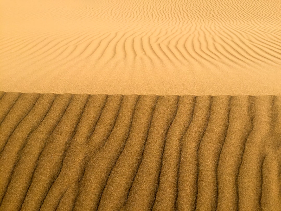 From Ancient Notes to Modern Science (Image Credits: Unsplash)