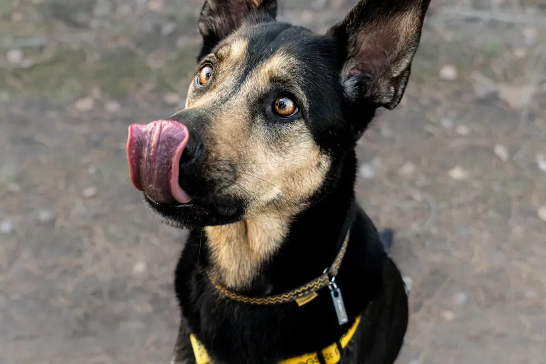 Seeing With New Eyes: How Readers Can Explore the Hidden Sensory World (Image Credits: Unsplash)