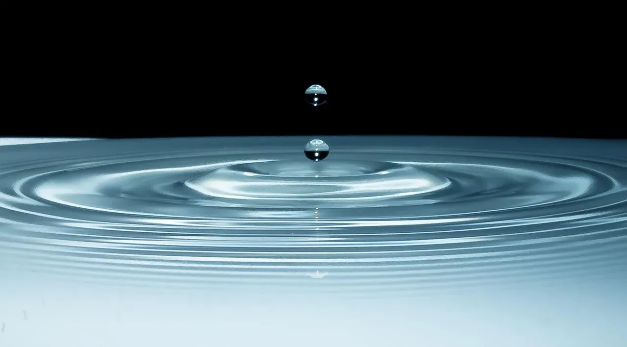 Conclusion: The Most Ordinary Mystery in the World (Image Credits: Pixabay)