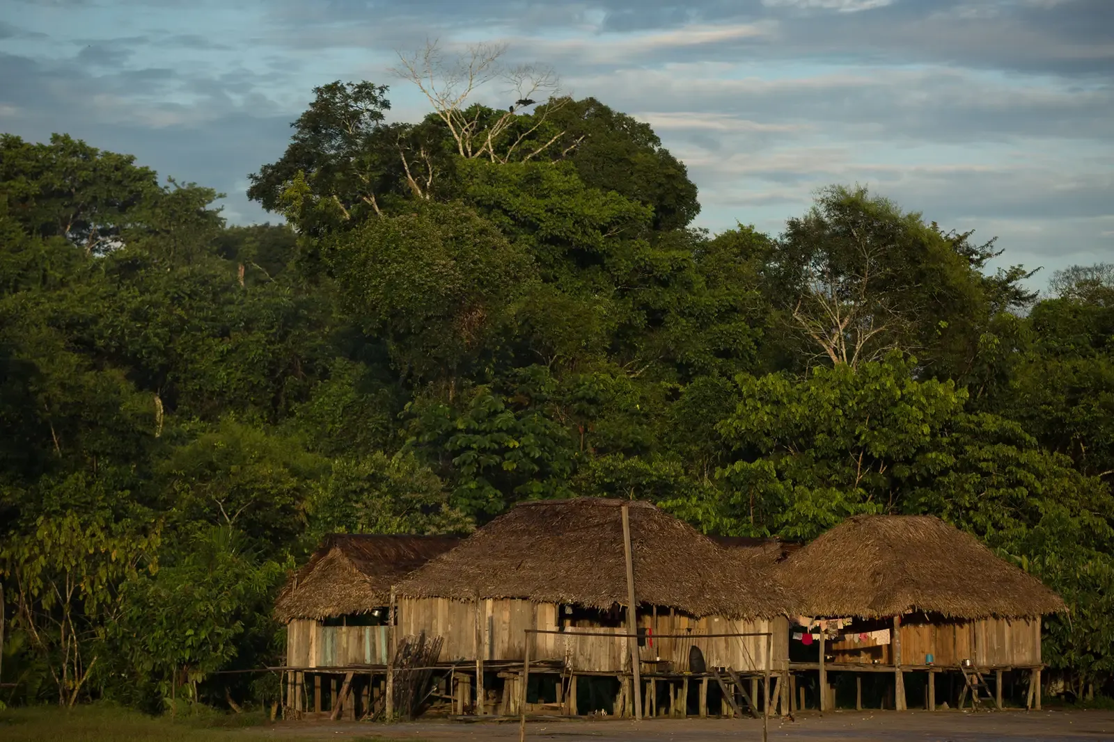 Vale do Javari: The Amazon's Last Unknown Tribes (Image Credits: Wikimedia)