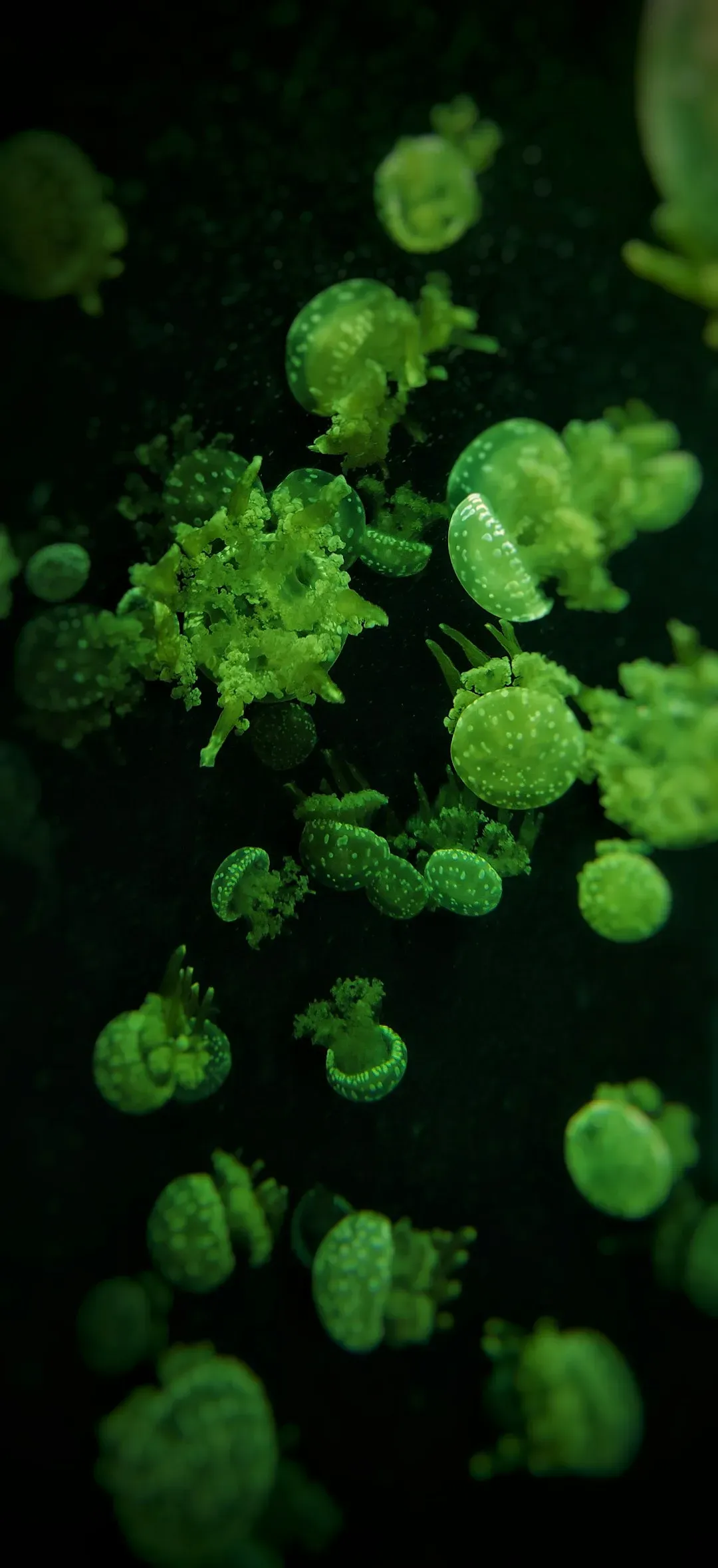 What You Can Do: Seeing and Supporting the Unseen (Image Credits: Unsplash)