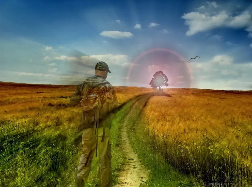 Consciousness as Foundation, Not Byproduct (Image Credits: Flickr)