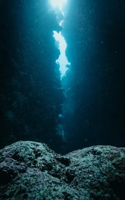 Undiscovered Deep-Sea Canyons Carved in the Dark (Image Credits: Pexels)