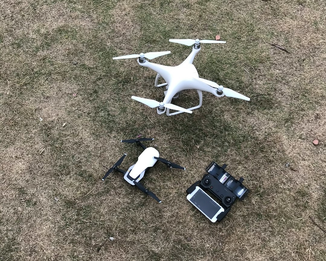 The Future Landscape (Image Credits: Unsplash)