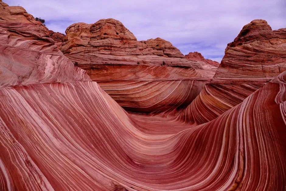 6. The Wave, USA – A Sandstone Illusion in Arizona (Image Credits: Pexels)