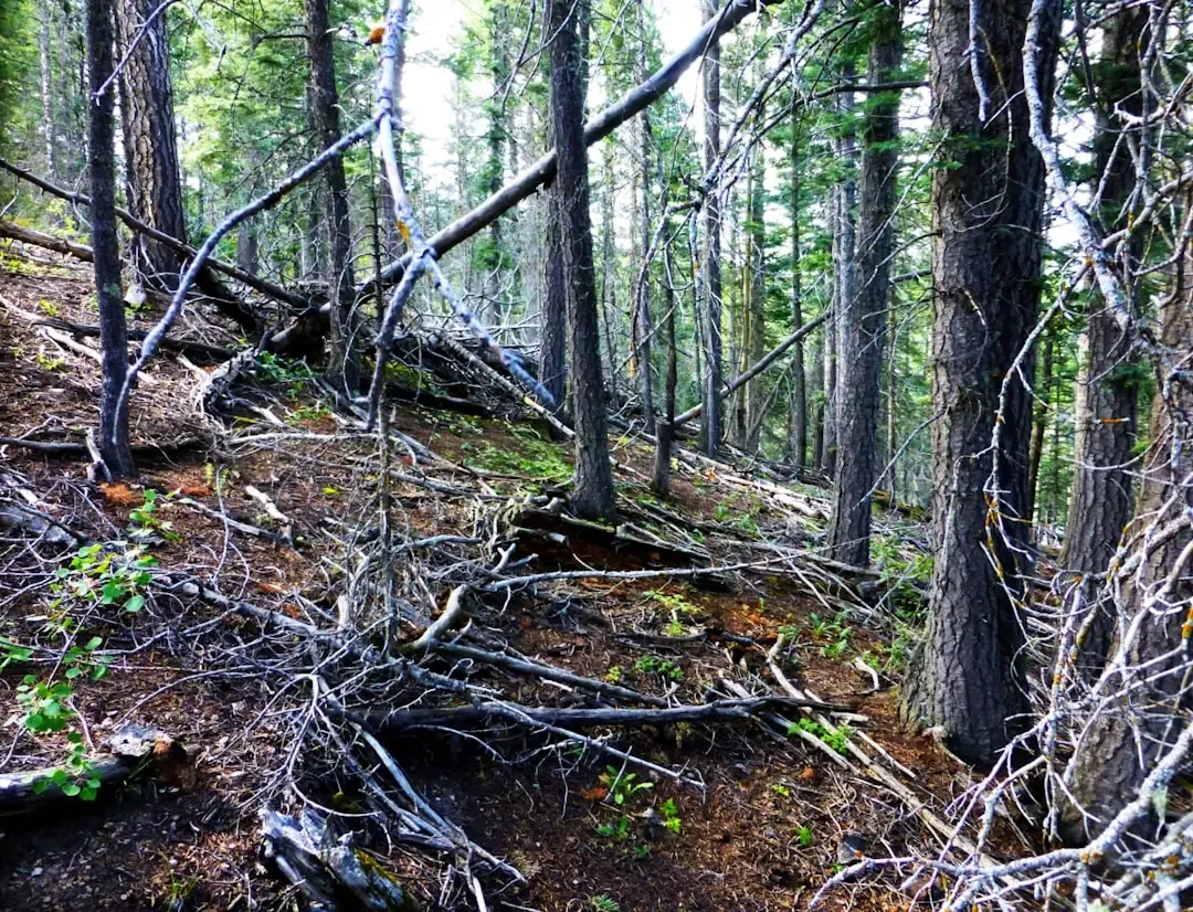 Your Own Encounter with the Unknown (Image Credits: Unsplash)