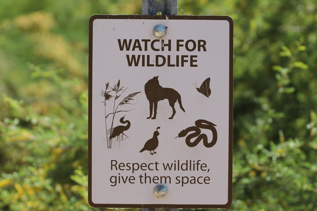 Legislative Framework Driving Statewide Implementation (Image Credits: Unsplash)