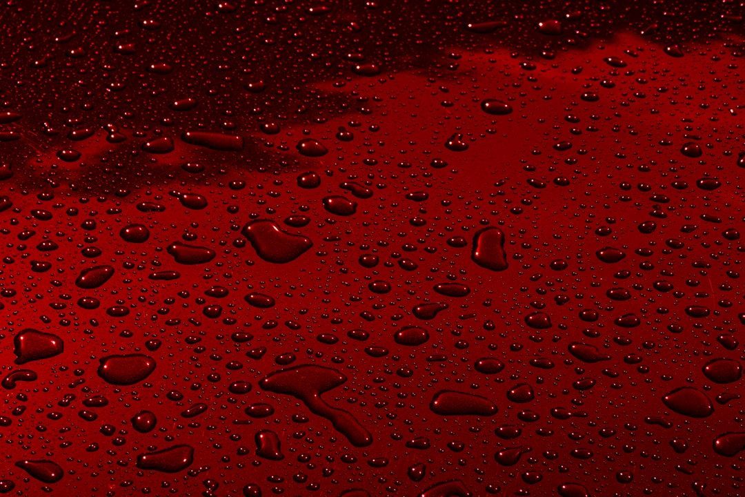 Blood Rain That Stained Everything Crimson (Image Credits: Unsplash)