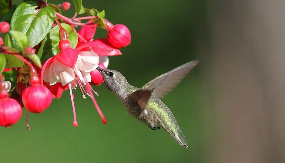 Real‑World Habitats: Beyond The Backyard Feeder (Image Credits: Pexels)