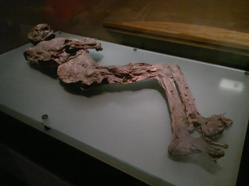 #13 The Bog Bodies of Northern Europe: Perfectly Preserved, Perfectly Disturbing (markhealey, Flickr, CC BY-SA 2.0)