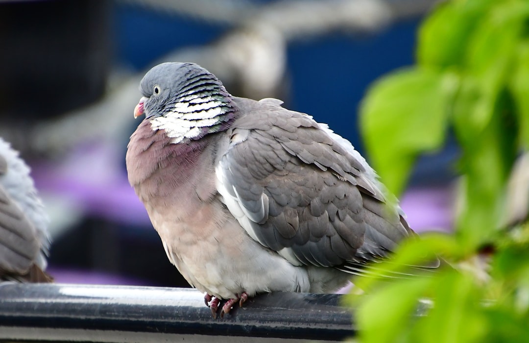 Philadelphia, Pennsylvania (Image Credits: Unsplash)