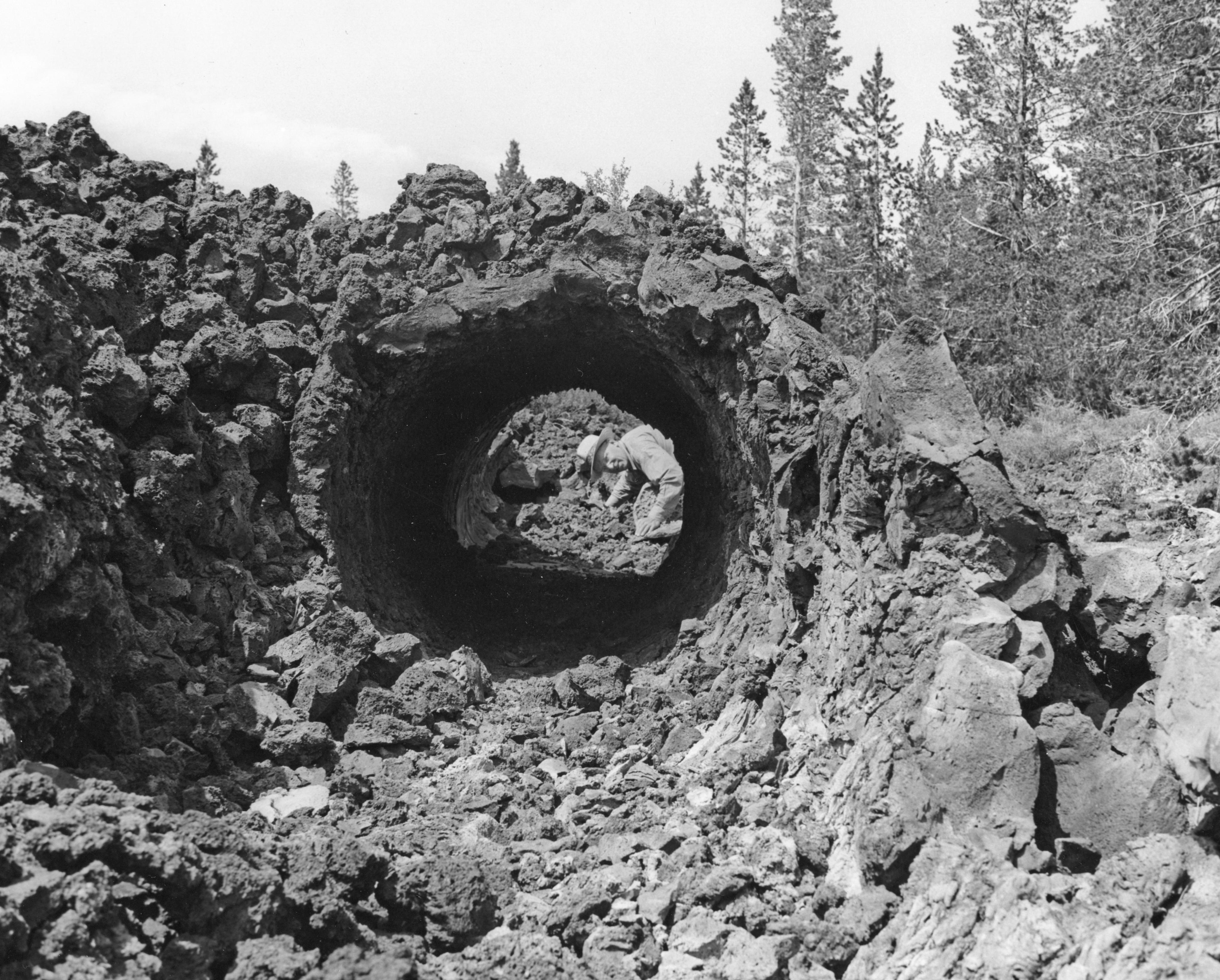 When Volcanoes Fake a Stone Forest (Image Credits: Wikimedia)