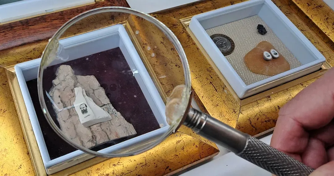 What Modern Science Lets You Learn from Even the Smallest Fragment (Image Credits: Unsplash)