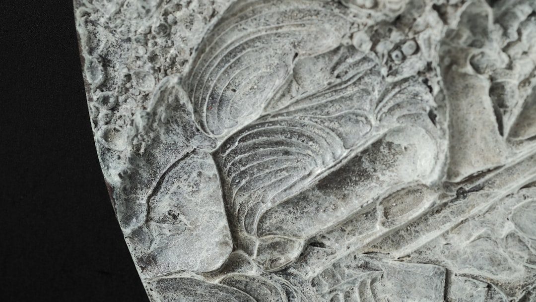 Mermaids and Sirens: Ocean Mysteries and Misread Wildlife (Image Credits: Unsplash)