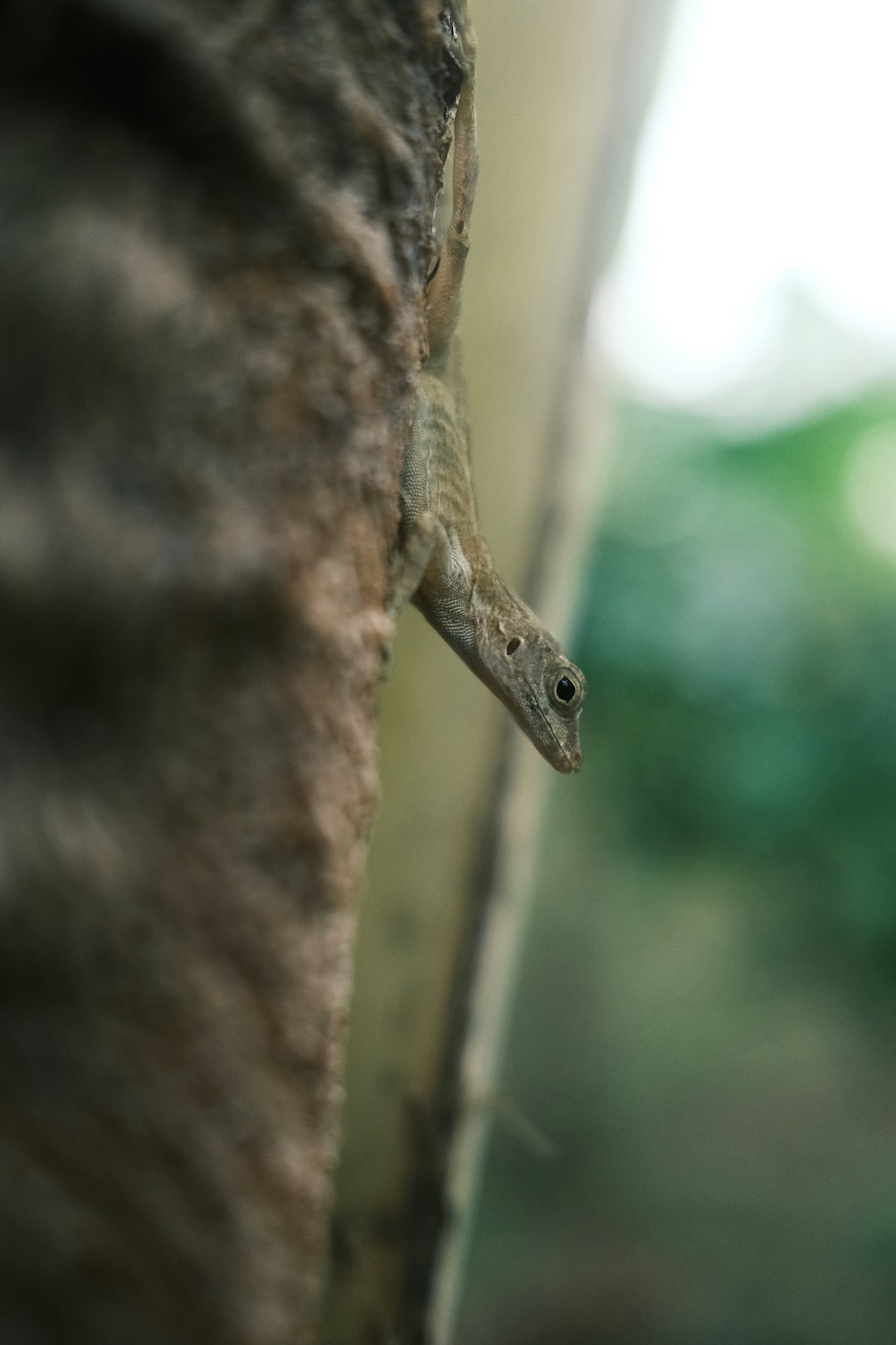 Patterns in the Field (Image Credits: Unsplash)