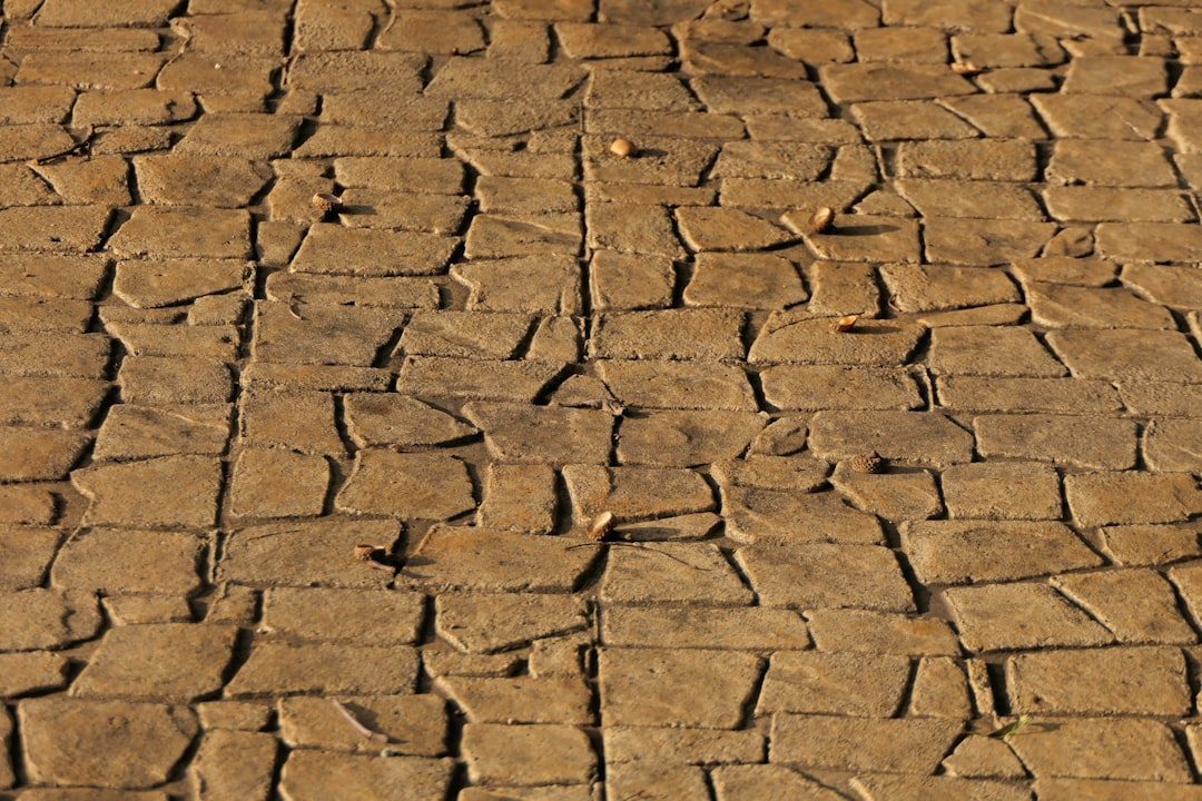 The Akkadian Empire: When Rain Stopped Falling (Image Credits: Unsplash)