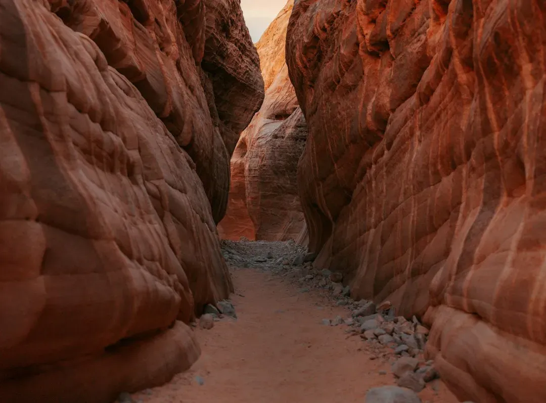 The Hohokam Canal Engineers of the Sonoran Desert (Image Credits: Unsplash)
